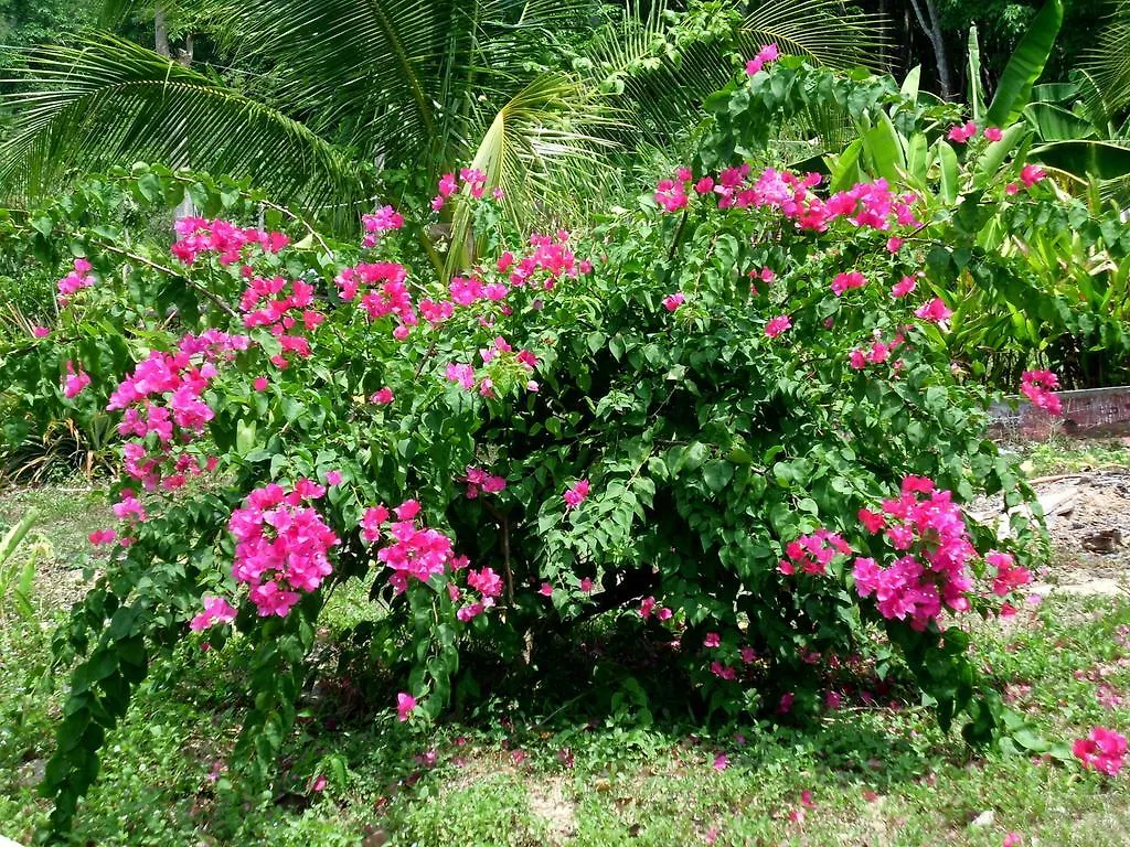 Seagull Villa Ko Lanta Ταϊλάνδη